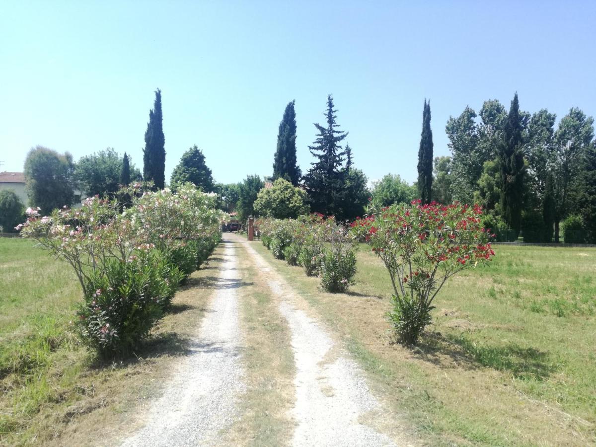 B&B Il Parco ซานจูเลียโน แตร์เม ภายนอก รูปภาพ